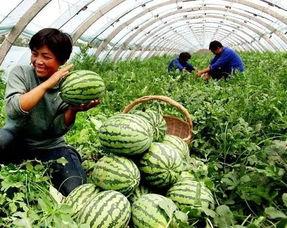 娱乐坊1吃瓜一线  第2张